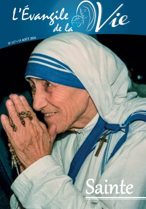 importance des rencontres dans la vie