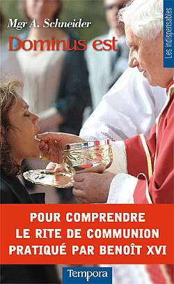 Pour comprendre le rite de communion pratiqu&eacute; par Beno&icirc;t XVI