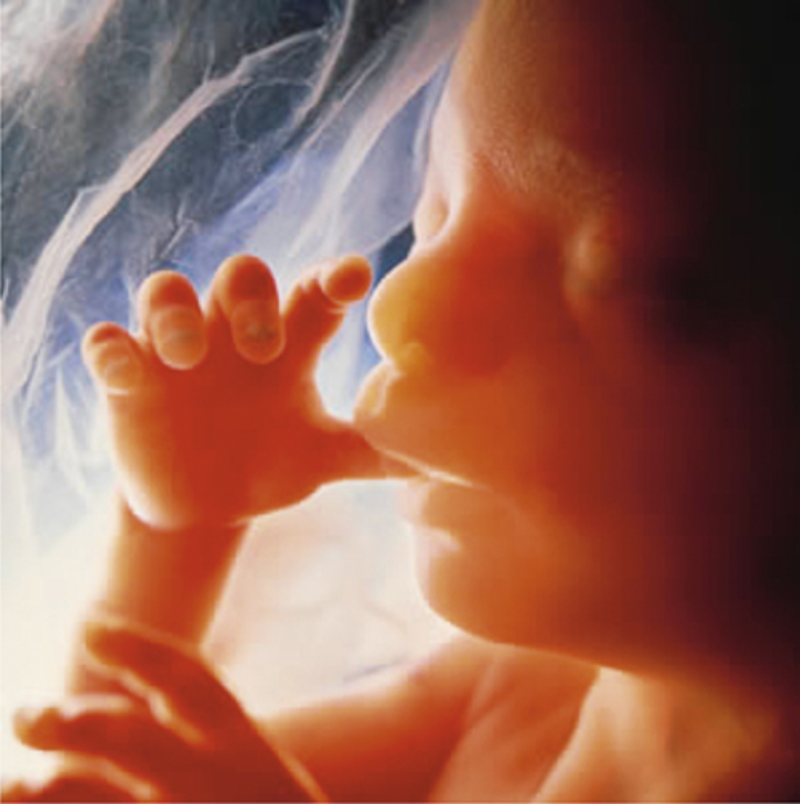 Washington : Discours du Vice Président Vance