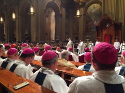 Priez avec ferveur pour les familles et le Synode