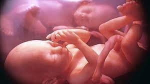 On ne manipule pas la vie de l'homme