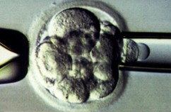 Comme si l'homme pouvait exister sans être humain